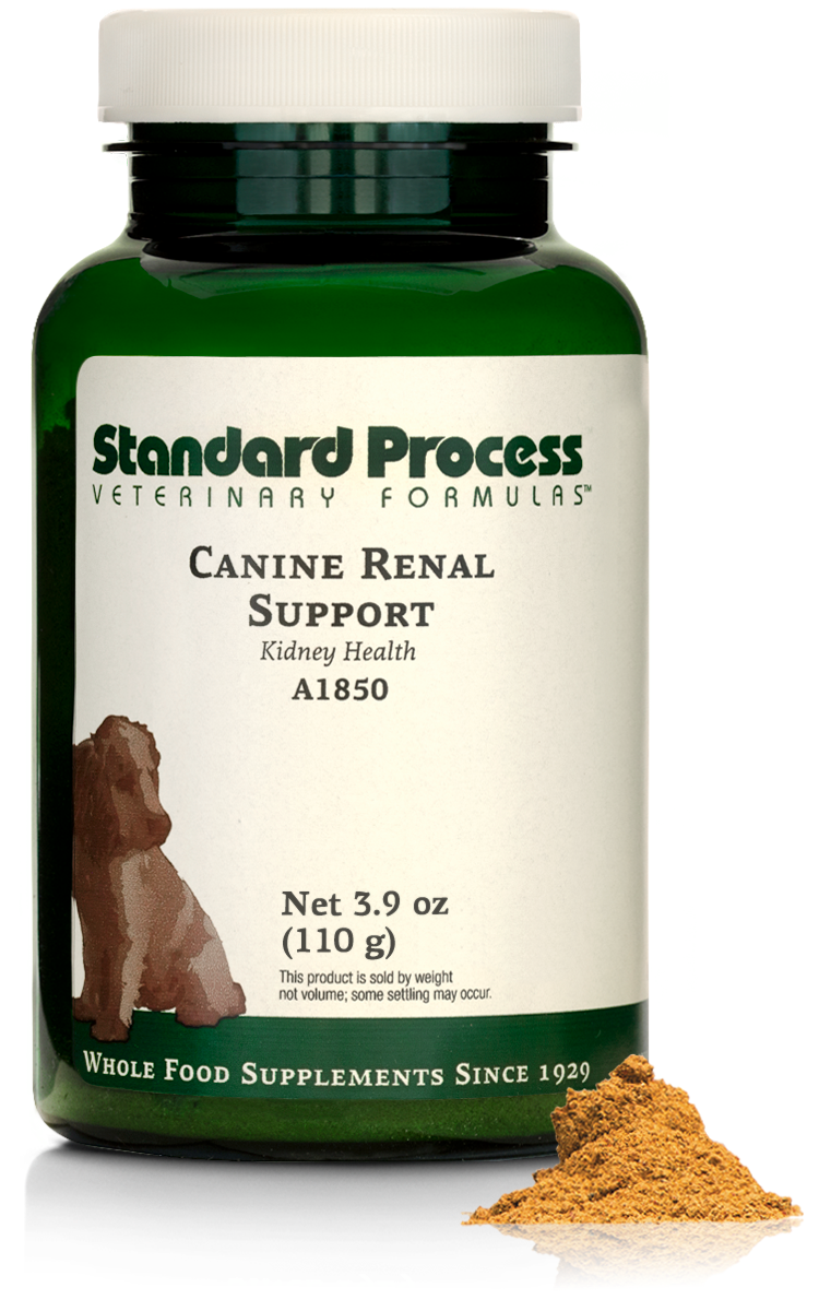 Canine Renal Support, 110 g